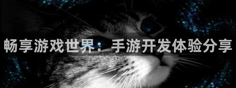 银河(galaxy)官网预测网站：畅享游戏世界：手游开发体验