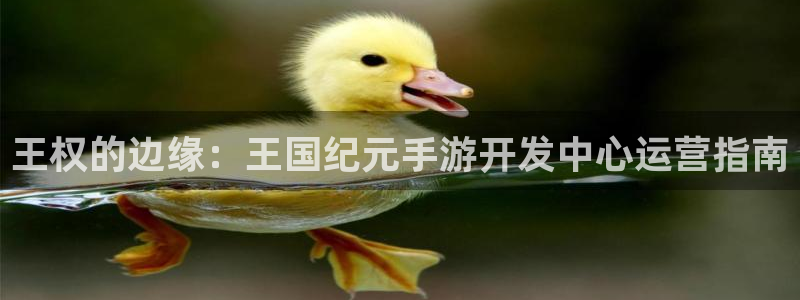 28大神官网app：王权的边缘：王国纪元手游开发中心运营指南