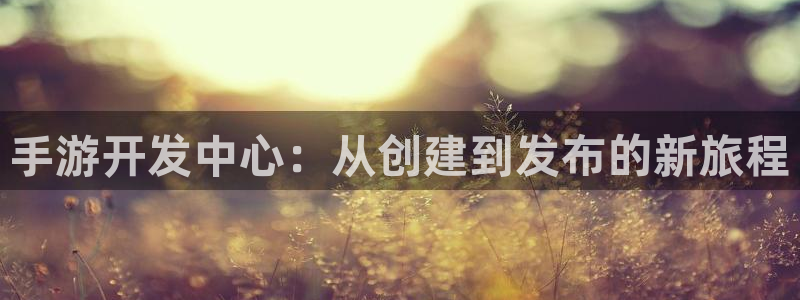 28大神怎么用不了：手游开发中心：从创建到发布的新旅程